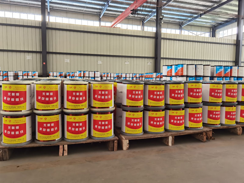 �c���鿴��